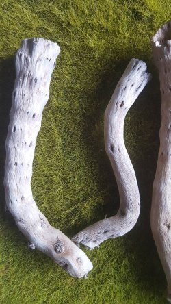 画像6: Reality in Scale[PLA08]1/35 ジオラマ素材 枯れた倒木と枝セット(天然素材)