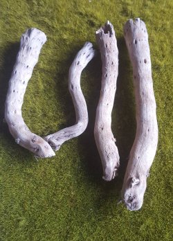 画像4: Reality in Scale[PLA08]1/35 ジオラマ素材 枯れた倒木と枝セット(天然素材)