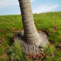 画像2: Reality in Scale[PLM01]1/35 ココ椰子 #1