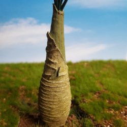 画像2: Reality in Scale[PLM03]1/35 ジャングル椰子