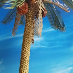 画像4: Reality in Scale[PLM08]1/35 ナツメ椰子 #2 若木付き