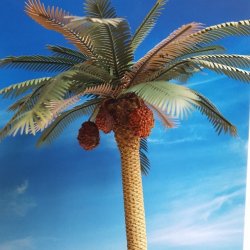 画像3: Reality in Scale[PLM08]1/35 ナツメ椰子 #2 若木付き