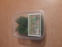 画像8: Reality in Scale[PP004]1/16-1/35 野原の茂み-ダークグリーン