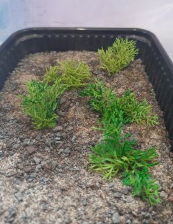 画像3: Reality in Scale[PP006]1/16-1/35 野原の茂み-マルチカラー ミディアム/ダークグリーン