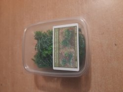 画像7: Reality in Scale[PP008]1/16-1/35 野原の茂み-マルチカラー ミディアム/ライトグリーン