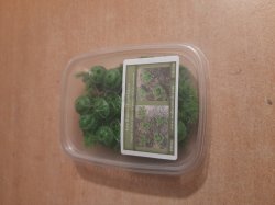 画像8: Reality in Scale[PP010]1/16-1/35 低い茂み-ライトグリーン