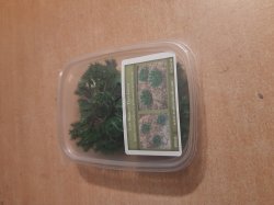 画像7: Reality in Scale[PP011]1/16-1/35 低い茂み-ダークグリーン