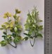 画像7: Reality in Scale[PP020]1/16-1/35 ジャングルの植物セット1 植物2種類入