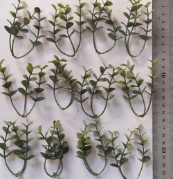 画像11: Reality in Scale[PP021]1/16-1/35 ジャングルの植物セット2 植物2種類入