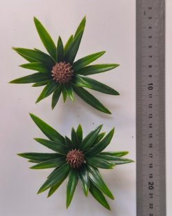 画像8: Reality in Scale[PP021]1/16-1/35 ジャングルの植物セット2 植物2種類入