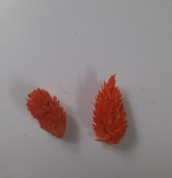画像2: Reality in Scale[PP022]1/16-1/35 ジャングルの植物セット3 植物2種類入