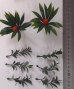 画像8: Reality in Scale[PP022]1/16-1/35 ジャングルの植物セット3 植物2種類入