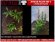 画像1: Reality in Scale[PP023]1/16-1/35 ジャングルの植物セット4 植物2種類入 (1)