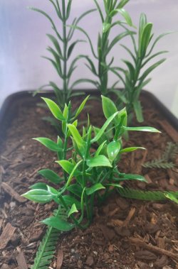 画像5: Reality in Scale[PP023]1/16-1/35 ジャングルの植物セット4 植物2種類入