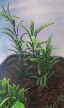 画像6: Reality in Scale[PP023]1/16-1/35 ジャングルの植物セット4 植物2種類入