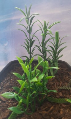 画像8: Reality in Scale[PP023]1/16-1/35 ジャングルの植物セット4 植物2種類入