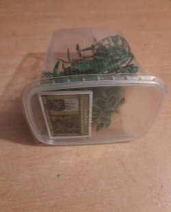 画像9: Reality in Scale[PP023]1/16-1/35 ジャングルの植物セット4 植物2種類入