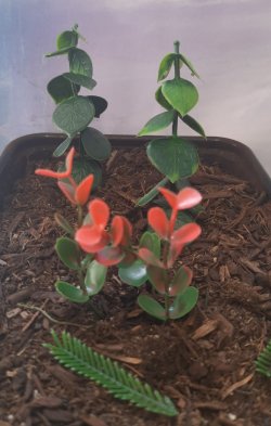 画像3: Reality in Scale[PP024]1/16-1/35 ジャングルの植物セット5 植物2種類入