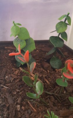 画像6: Reality in Scale[PP024]1/16-1/35 ジャングルの植物セット5 植物2種類入