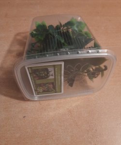 画像8: Reality in Scale[PP025]1/16-1/35 ジャングルの植物セット6 植物2種類入