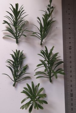画像2: Reality in Scale[PP026]1/16-1/35 ジャングルの大型植物1