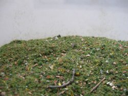 画像1: Reality in Scale[SCAT1]石の混じった牧草地の草