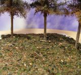 Reality in Scale[SCAT4]松林の地面