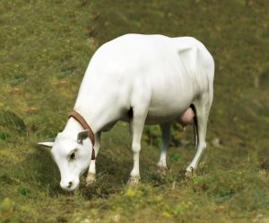 画像1: RoyalModel[RM747]1/35 牧草を食む牛 (1)
