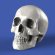 画像2: RoyalModel[RM857]1/24 頭蓋骨(75mm)6個入 (2)