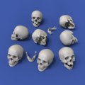 RoyalModel[RM912]1/32 頭蓋骨(54mm)8個入