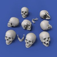 RoyalModel[RM912]1/32 頭蓋骨(54mm)8個入