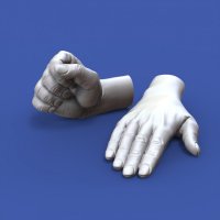 RoyalModel[RM962]1/16 汎用 ハンドアソートセットNo.1「様々な掌」