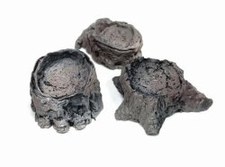 画像3: セガワモデリング[DO-1012]萌芽林（ひこばえ）キット