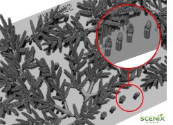 画像4: SCENIX Studio[SXP35002]1/35 ジオラマアクセサリー モミの枝(偽装/植生用)