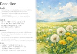 画像2: SCENIX Studio[SXP35003]1/35 ジオラマアクセサリー タンポポ(12個入)