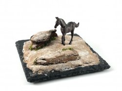 画像4: セガワモデリング[DO-1002]砂漠キット