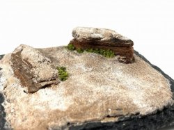 画像5: セガワモデリング[DO-1002]砂漠キット