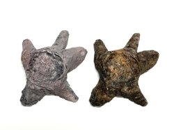 画像6: セガワモデリング[DO-1011]湿原キット