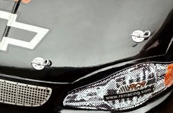 画像4: SHK PRODUCTS[SHK24-002]1/24 ボンネットピンセットB