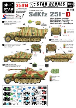 画像1: STAR DECALS[SD35-914] 1/35 SD.Kfz.251 Ausf.D 東部戦線1945 デカールセット