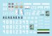 画像2: STAR DECALS[SD48-B1003]1/48 現用 紛争地域に於けるT-55A アフリカ 中東 アフガニスタン (2)