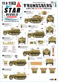 STAR DECALS[SD72-A1143]1/72 WWII ドイツ 第10SS装甲師団「フルンツベルク」の車輌＃1 Sd.Kfz.250アルテ/ノイ