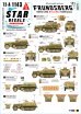 画像1: STAR DECALS[SD72-A1143]1/72 WWII ドイツ 第10SS装甲師団「フルンツベルク」の車輌＃1 Sd.Kfz.250アルテ/ノイ (1)