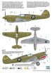 画像3: スペシャルホビー[SPHSH72382]1/72 P-40M ウォーホーク/キティホーク Mk.III (3)