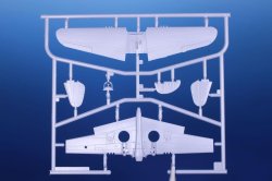 画像6: スペシャルホビー[SPHSH72382]1/72 P-40M ウォーホーク/キティホーク Mk.III