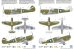 画像11: スペシャルホビー[SPHSH72382]1/72 P-40M ウォーホーク/キティホーク Mk.III (11)