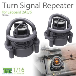 画像1: T-Rex Studio[TR16030]1/16 レオパルド2A5/6用方向指示器セット (1)