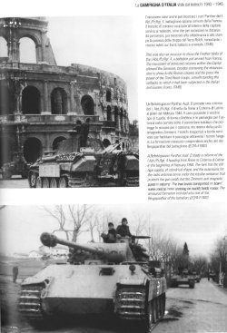 画像4: [TMS-03] タンクマスタースペシャル No.3 イタリア1943-1945 ドイツ軍編