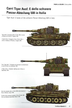 画像2: [TMS-03] タンクマスタースペシャル No.3 イタリア1943-1945 ドイツ軍編