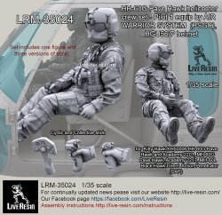 画像1: Live Resin[LRM35024]1/35 HH-60G Pave Hawk helicopter crew set - Pilot 1